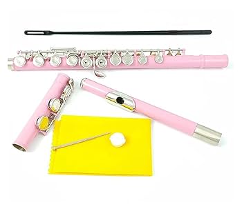 Amazon | クローズド ピンク フルート 16 クローズ ホール C